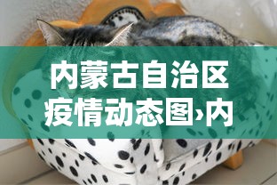 丰富分享“黄金岛有挂吗”-详细教程