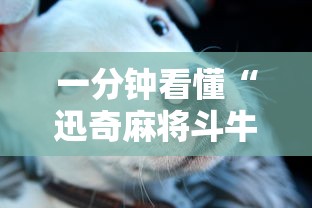 一分钟看懂“迅奇麻将斗牛挂安装”事实上真的有挂