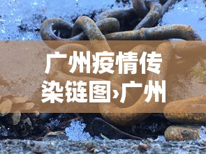辅助最新信息“手机麻将怎么操作？视频教程”附开挂脚本详细步骤