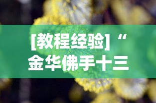 [教程经验]“金华佛手十三道辅助器”真的有挂