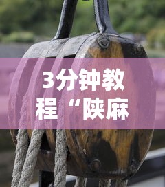 3分钟教程“陕麻圈捉老麻子开挂神器”真的有挂