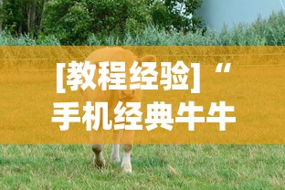 [教程经验]“手机经典牛牛有没有挂”实测确实有挂