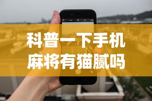 今日教程“微乐跑得快可以作弊吗”开挂(透视)辅助教程