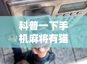 科普一下手机麻将有猫腻吗”开挂(透视)辅助教程