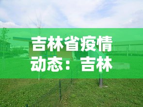 必学教你安装“手机麻将为啥一直输钱”可以开挂作弊