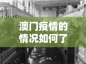 辅助开挂工具“微乐广东麻将开挂视频”附透视挂详细教程 