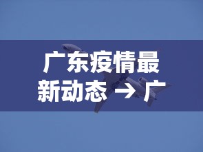 专用辅助“大赢家跑得快挂”确实可以使用辅助