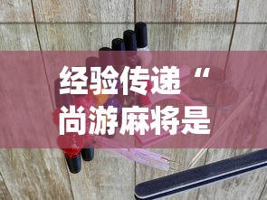 秒懂经验“微乐内蒙麻将挂免费安装”开挂辅助脚本+详细