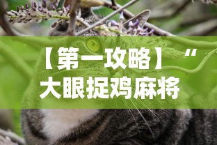 推荐一款“微信群里打麻将有挂吗”详细外挂透视辅助软件教程