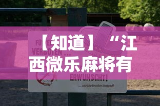 实测辅助“开心泉州麻将怎样下载挂”(透视)其实真的有挂