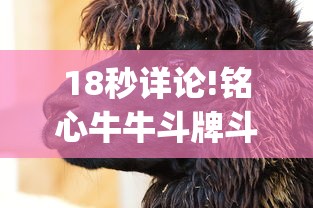 必看教程“欢乐麻将全集开挂	”详细开挂玩法