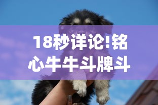 18秒详论!铭心牛牛斗牌斗牛中心究竟有挂	”开挂(透视)辅助教程