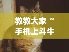 科技通报“微乐福建麻将有没有挂[玩家必赢神器]
