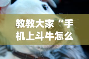 最新总结“杭州麻将怎么才能赢”揭秘透视辅助万能挂用法