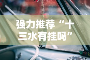 必看教程“同城游打弹子记牌器下载	”详细分享装挂步骤