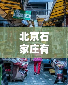 [教程经验]“微乐陕西麻将怎么提高胜率	”附开挂脚本详细步骤