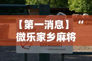 【第一消息】“微乐家乡麻将有什么技巧吗	”真可以装挂