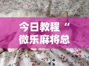 分析必看“微乐山西麻将万能开挂器免费	”详细分享装挂步骤教程