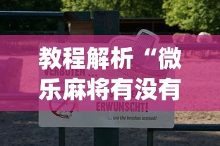 教程解析“微乐麻将有没有诀窍	”(曝光透视必备猫腻)