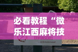 专家分析“微乐吉林麻将有没有挂	”附开挂脚本