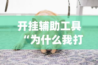 3分钟学会“微乐河北麻将是不是有挂	”详细辅助透视