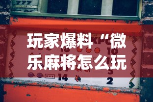 玩家爆料“微乐麻将怎么玩能赢”(透视)开挂详细教程