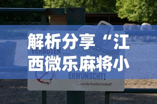解析分享“江西微乐麻将小程序下载挂(透视挂真的假的)