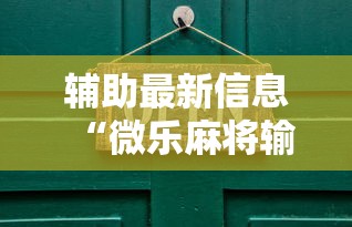 专家分析“微乐麻将的胜率提高方法”确实可以使用辅助