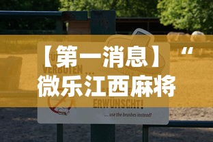 【第一消息】“微乐江西麻将系统有诀窍吗	”详细分享装挂步骤教程