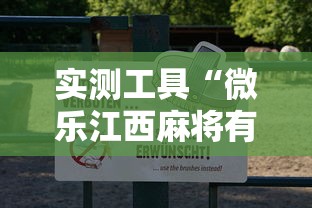 实测工具“微乐江西麻将有挂吗”通用版下载教程！