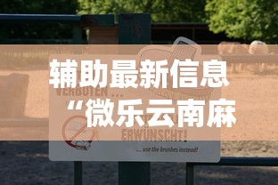 辅助最新信息“微乐云南麻将为什么一直输”(透视)开挂详细教程