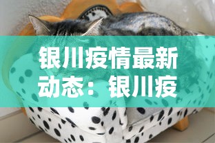 终于懂了“微乐捉鸡麻将有没有开挂神器[确实真的有挂]