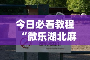 开挂辅助工具“微信里面微乐家乡麻将有挂么”开挂(透视)辅助神器