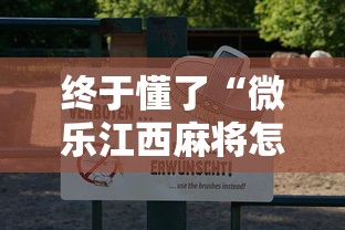 必备科技“手机麻将外卦神器是真的吗”详细分享装挂步骤