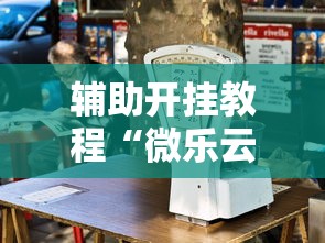 辅助开挂教程“微乐云南麻将开挂免费下载安装”详细透视辅助教程官方正版下载