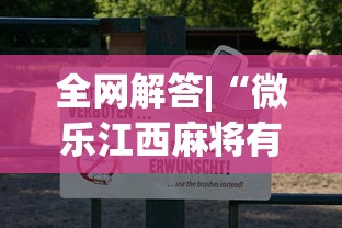 全网解答|“微乐江西麻将有挂吗	”附透视挂详细教程 
