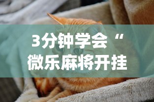 7分钟揭秘手机麻将开挂神器视频”附开挂脚本详细步骤