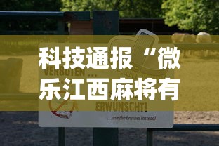 2026最新一代“微乐福建麻将怎么打才会赢”(果然有透视挂)