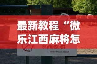 最新教程“微乐江西麻将怎么赢”开挂(透视)辅助教程