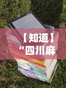 【知道】“四川麻将有挂么”详细分享装挂步骤
