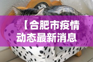 实测教程“微乐麻将如何买挂(辅助外挂+教程) 实测教程“微乐麻将如何买挂(辅助外挂+教程)
