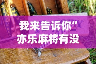 我来告诉你	”亦乐麻将有没有挂”详细分享装挂步骤