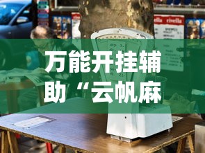 万能开挂辅助“云帆麻将有挂吗	”开挂(透视)辅助教程