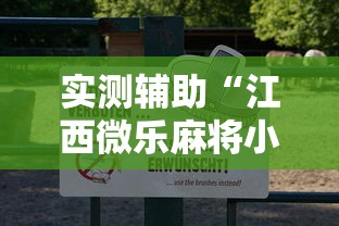 实测辅助“江西微乐麻将小程序下载挂	”-原来有挂